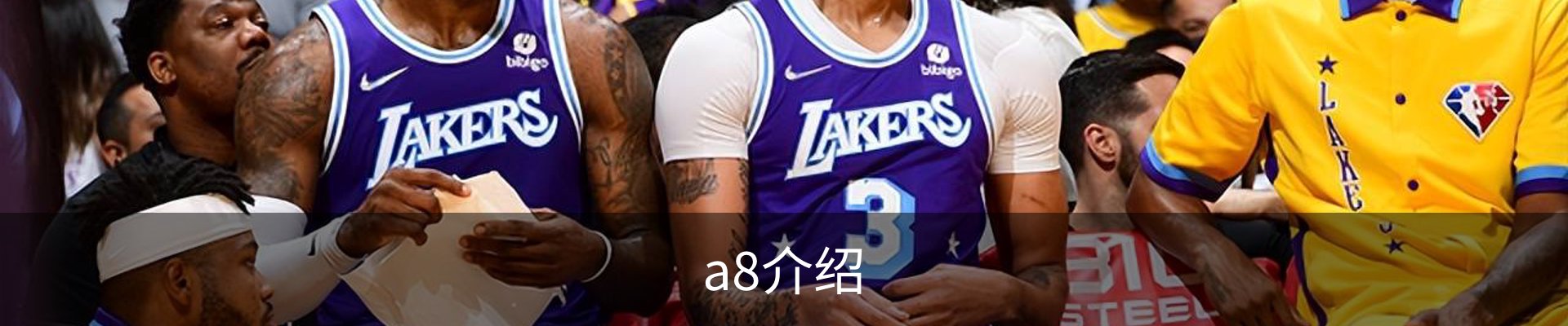 a8介绍